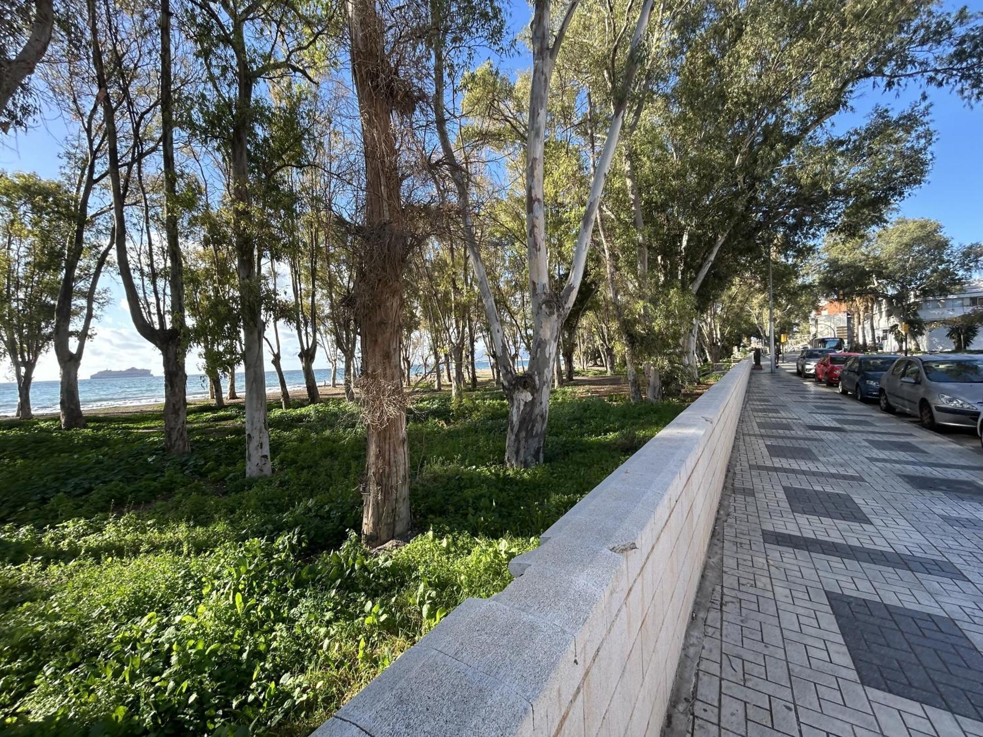 Bolivia A * Málaga